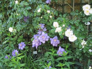 Photo 036.jpg